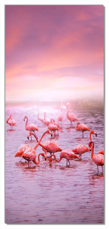 Selbstklebende Türtapete Rosa Flamingos bei Sonnenuntergang selbstklebende Folie mit Schutzlaminat, 93 x 205 cm Schnäppchen