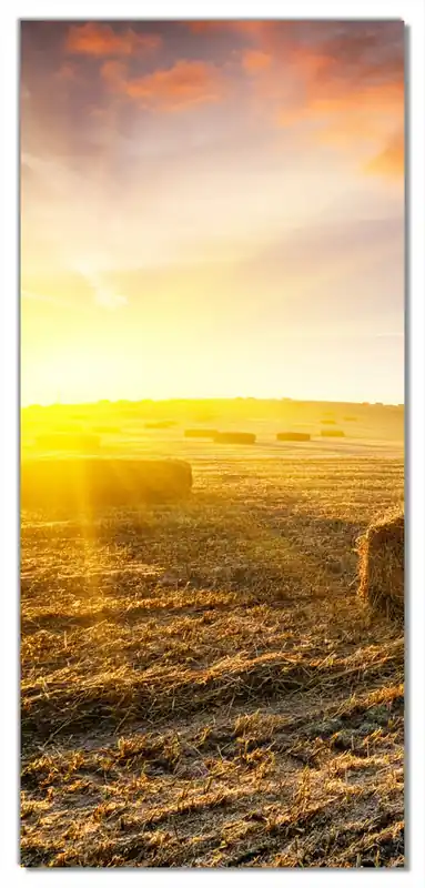 Selbstklebende Türtapete Stroh auf dem Feld bei untergehender Sonne selbstklebende Folie, 93 x 205 cm Top-Seller