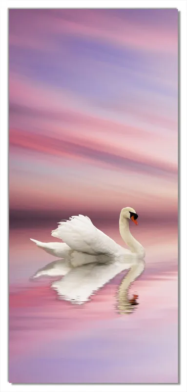 Selbstklebende Türtapete Weißer Schwan im rosafarbenen See selbstklebende Folie mit Schutzlaminat, 100 x 220 cm Billig
