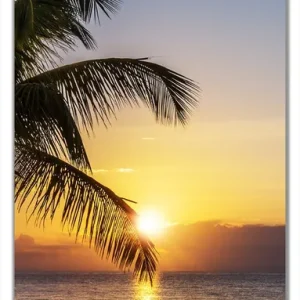 Kostenloser Versand Selbstklebende Türtapete Palme am Strand - Sonnenuntergang über dem Meer selbstklebende Folie, 100 x 220 cm