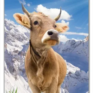 Selbstklebende Türtapete Kuh im Sonnenschein in den Alpen selbstklebende Folie, 93 x 205 cm Neue Kollektion