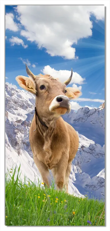 Selbstklebende Türtapete Kuh im Sonnenschein in den Alpen selbstklebende Folie, 93 x 205 cm Neue Kollektion