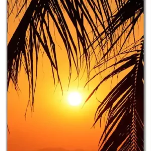 Bestpreis Selbstklebende Türtapete Sonnenuntergang unter Palmenblättern selbstklebende Folie, 93 x 205 cm