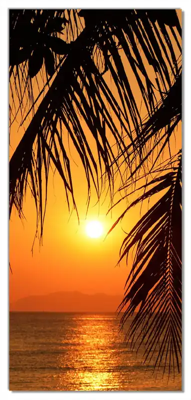 Bestpreis Selbstklebende Türtapete Sonnenuntergang unter Palmenblättern selbstklebende Folie, 93 x 205 cm