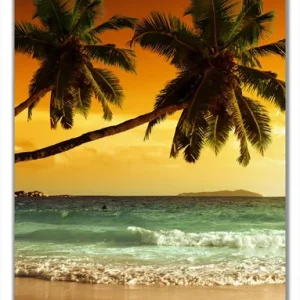 Letzte Chance Selbstklebende Türtapete Palmen am Sandstrand bei untergehender Sonne selbstklebende Folie mit Schutzlaminat, 100 x 220 cm