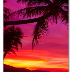 Direkt Vom Hersteller Selbstklebende Türtapete Abendrot unter Palmen - pinker Himmel am Strand selbstklebende Folie, 93 x 205 cm