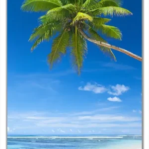 Gratis Versand Selbstklebende Türtapete Weißer Sandstrand am Meer - Ein Traum unter Palmen selbstklebende Folie mit Schutzlaminat, 100 x 220 cm