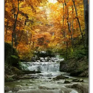 Expressversand Selbstklebende Türtapete Kleiner Bach über Steine im Herbstwald selbstklebende Folie, 93 x 205 cm