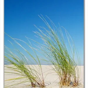 Geprüft Selbstklebende Türtapete Sandstrand unter blauem Himmel selbstklebende Folie mit Schutzlaminat, 93 x 205 cm