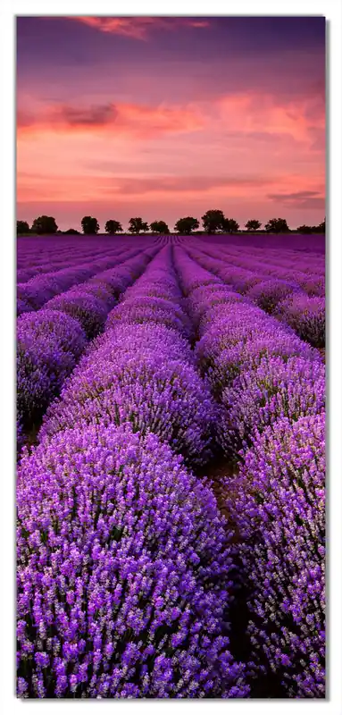 Sichere Zahlung Selbstklebende Türtapete Lavendelfeld unter rotem Himmel selbstklebende Folie mit Schutzlaminat, 93 x 205 cm