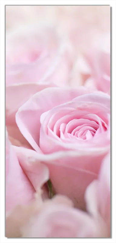 Ausverkauf Selbstklebende Türtapete Rosafarbene Rosenblüten im Strauß selbstklebende Folie mit Schutzlaminat, 100 x 220 cm