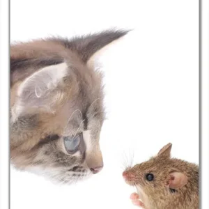 Kostenfreie Lieferung Selbstklebende Türtapete Katze und Maus beim Spielen - weißer Hintergrund selbstklebende Folie, 93 x 205 cm