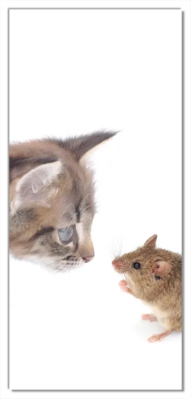 Kostenfreie Lieferung Selbstklebende Türtapete Katze und Maus beim Spielen - weißer Hintergrund selbstklebende Folie, 93 x 205 cm