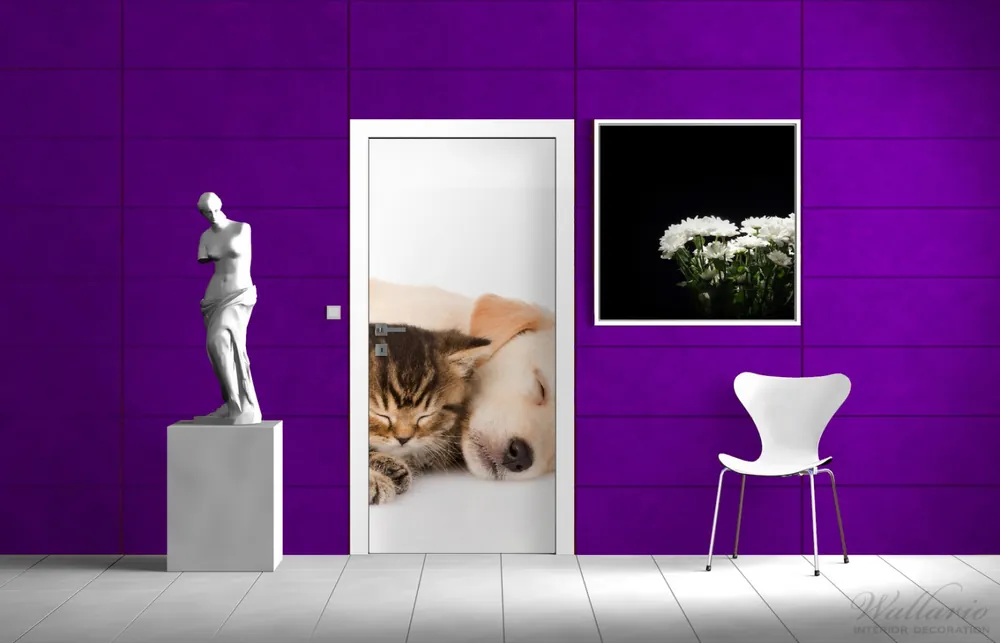 Kracherpreis Selbstklebende Türtapete Katze und Hund in Harmonie - Kuschelnde Tiere selbstklebende Folie mit Schutzlaminat, 100 x 220 cm