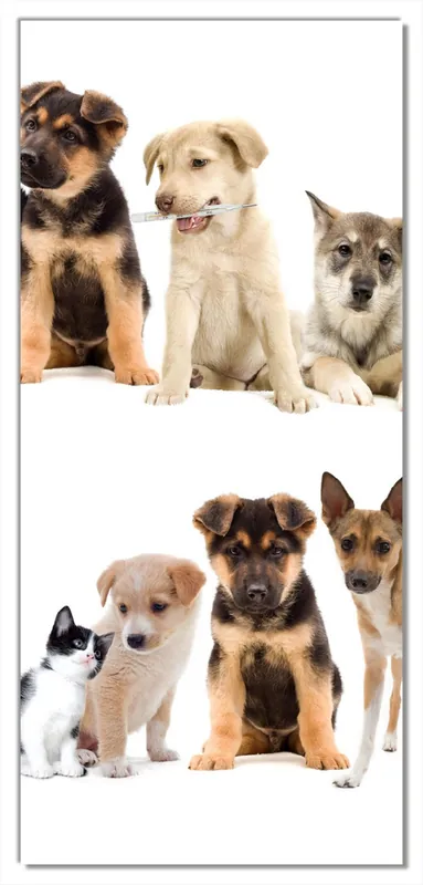 Meistverkauft Selbstklebende Türtapete Süße Haustiere - Katzen Hunde Hamster Küken selbstklebende Folie, 93 x 205 cm