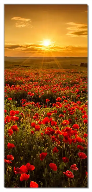 Selbstklebende Türtapete Mohnblumenwiese bei Sonnenuntergang am Abend selbstklebende Folie mit Schutzlaminat, 93 x 205 cm Knallerangebot