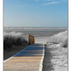 Highlight Selbstklebende Türtapete Auf dem Holzweg zum Strand in schwarz-weiß Optik selbstklebende Folie, 93 x 205 cm
