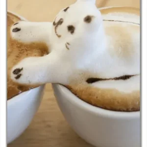 Sichere Zahlung Selbstklebende Türtapete Süße Milchschaum Katzen auf Kaffee selbstklebende Folie mit Schutzlaminat, 93 x 205 cm