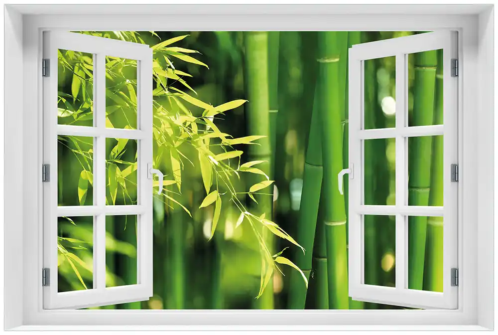Sonderaktion Selbstklebendes Poster mit Fenster-Illusion Bambuswald mit grünen Bambuspflanzen