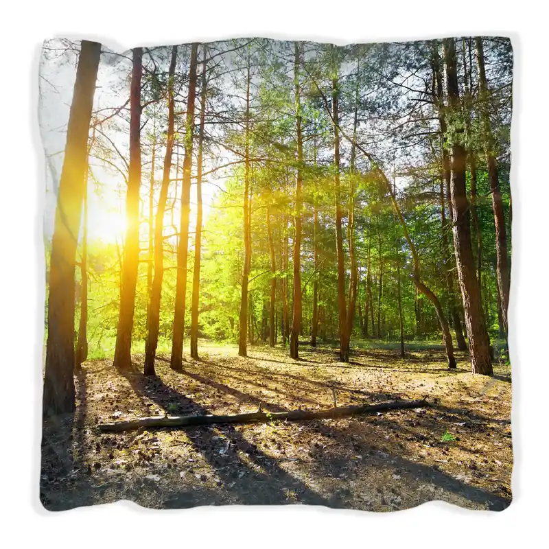 Angebot Kissen Sonnenstrahlen tief hinter dem Wald 60 x 60 cm, Foto