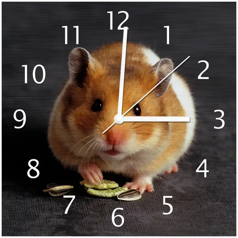 Markenprodukt Wanduhr aus Aluverbund Putziger Hamster mit Nüssen zwischen den Pfoten 30 x 30 cm, mit weißen Zeigern