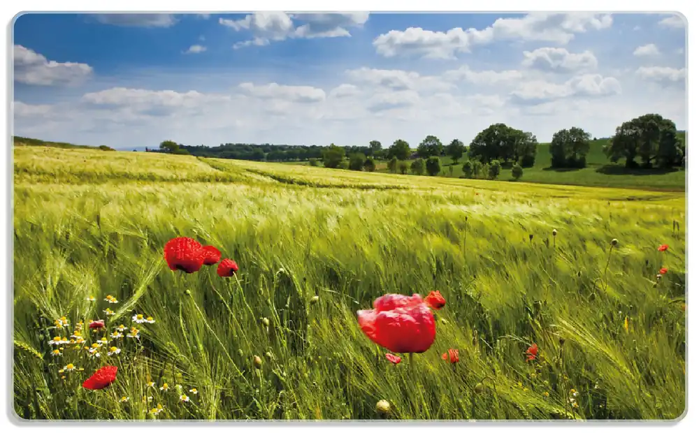 Frühstücksbrettchen Mohnblumenwiese auf grüner Wiese unter blauem Himmel 6 Sück Preisknaller