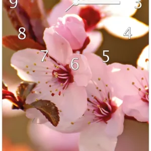 Zertifiziert Wanduhr aus Glas Frühlingsgefühle II - Kirschblüten in Nahaufnahme mit weißen Zeigern, 30 x 60 cm