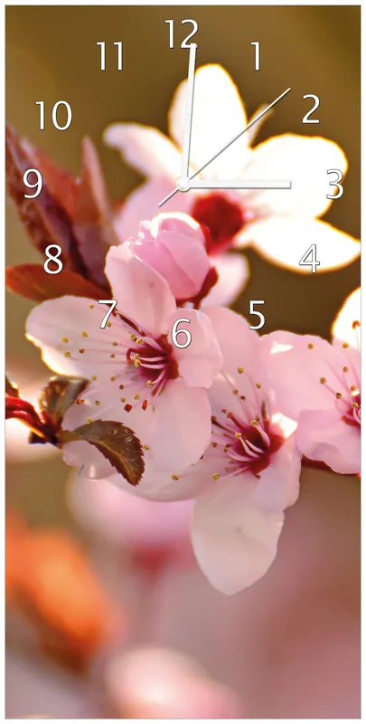 Zertifiziert Wanduhr aus Glas Frühlingsgefühle II - Kirschblüten in Nahaufnahme mit weißen Zeigern, 30 x 60 cm