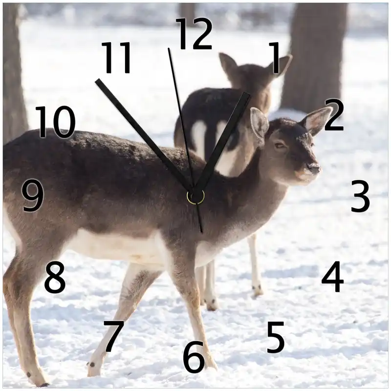 Wanduhr aus Glas Zwei junge Elche im Schnee in Arizona - Amerika mit schwarzen Zeigern, 30 x 30 cm Sofort Bestellen