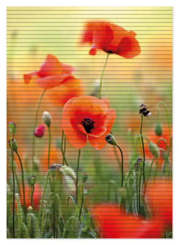 Neu Duschmatte Mohnblumenblüten 70 x 50 cm