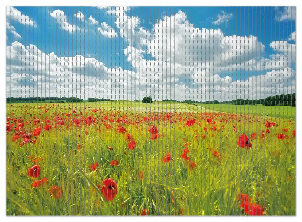 Duschmatte Grüne Wiese mit Mohnblumen 70 x 50 cm Sonderaktion