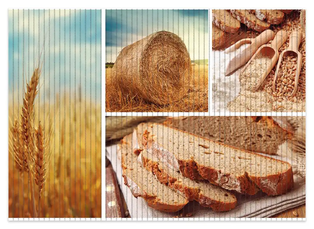 Preiswert Duschmatte Weizen und Mehl Vom Korn zum Brot 70 x 50 cm