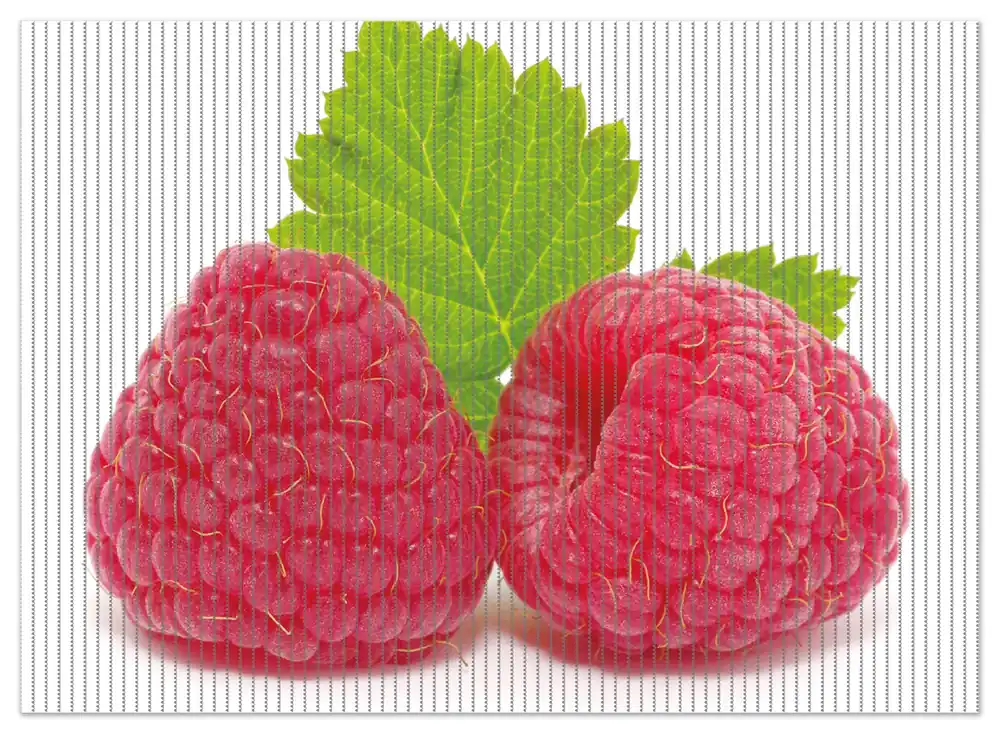 Kostenloser Rückversand Duschmatte Himbeeren mit grünem Blatt auf weißem Grund 90 x 65 cm