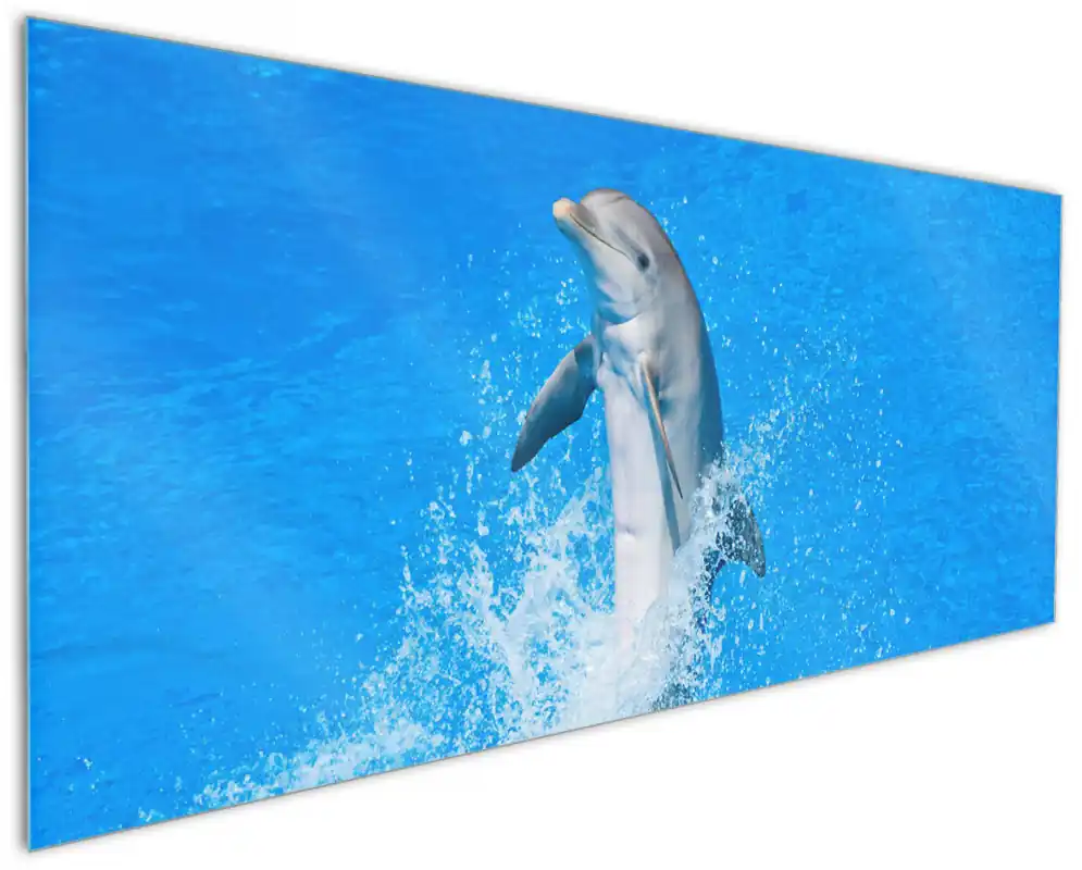 Top-Seller Küchenrückwand Fröhlicher Delfin im blauen Wasser aus Glas, 90 x 60 cm