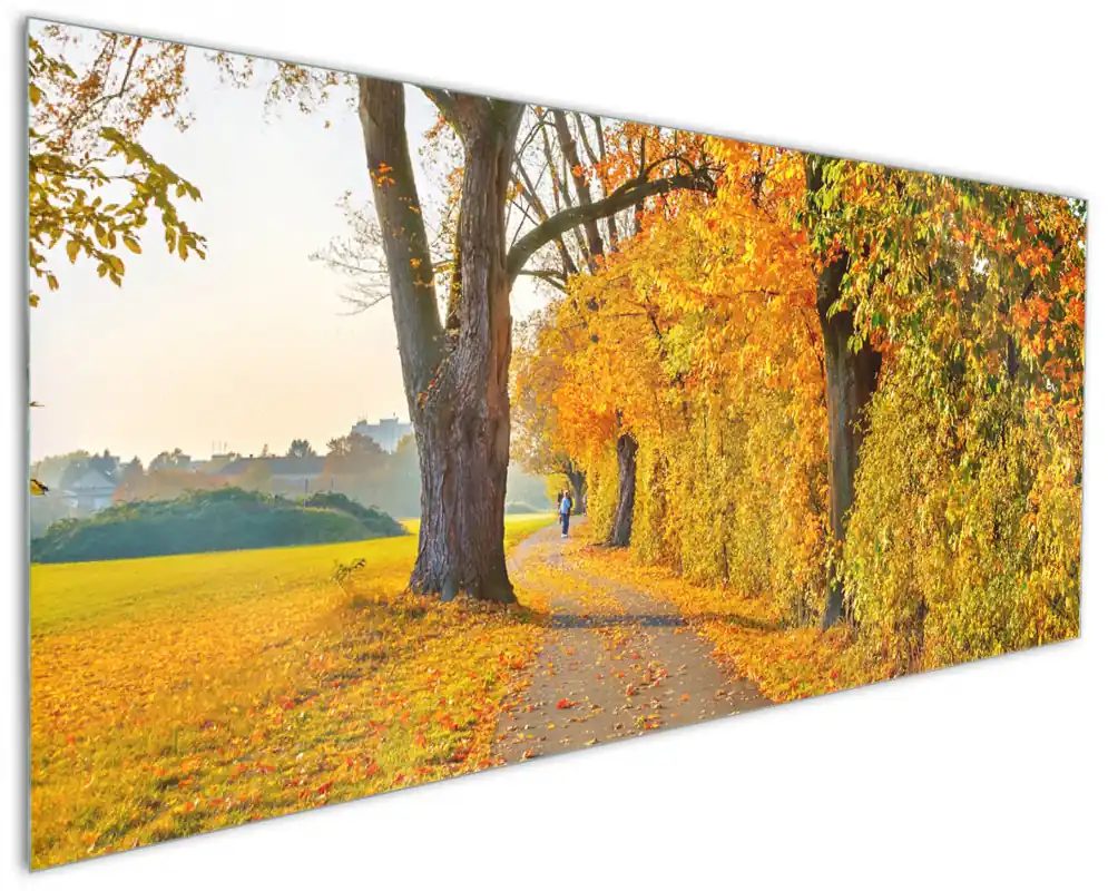 Küchenrückwand Herbstlicher Waldweg mit buntem Laub aus Glas, 125 x 50 cm Kostenloser Rückversand