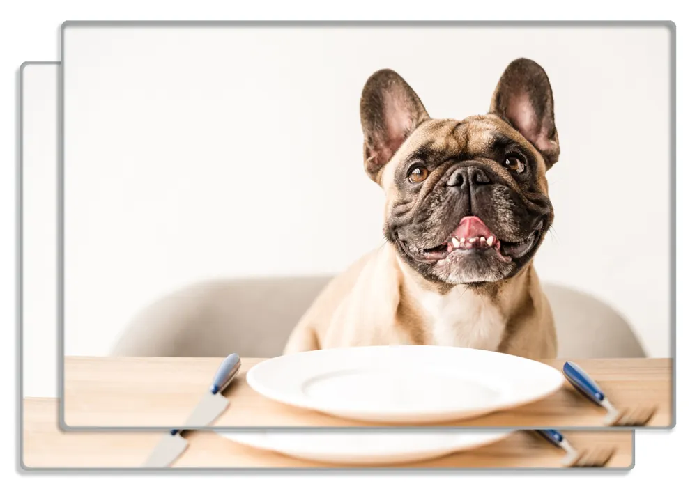 Knallerangebot Frühstücksbrettchen Hund freut sich auf Essen 1 Stück