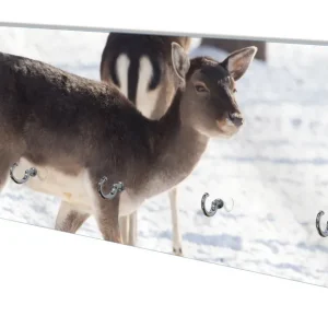 Wandgarderobe aus Glas Zwei junge Elche im Schnee in Arizona - Amerika Direkt Vom Hersteller