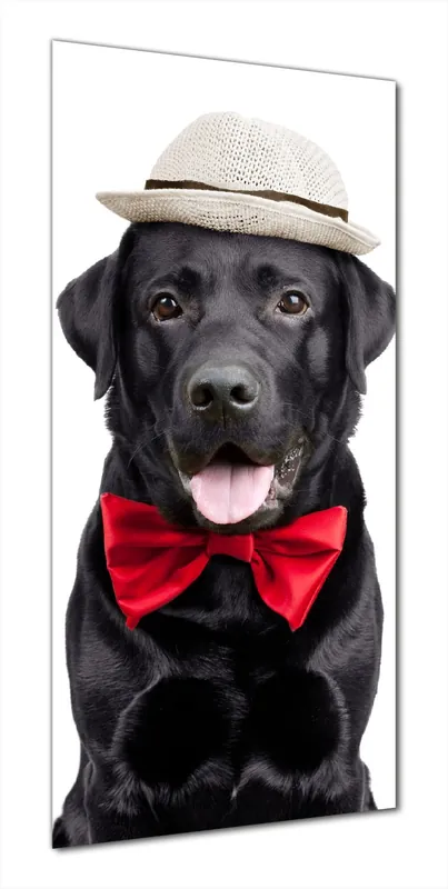 Duschrückwand Schwarzer Labrador Retriever mit roter Fliege und Mütze 80 x 190 cm Angebot