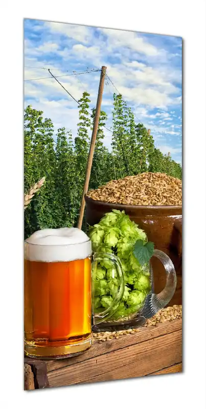 Finale Aktion Duschrückwand Frisch gezapftes Bier, Hopfen und Malz 160 x 180 cm, 2-teilig
