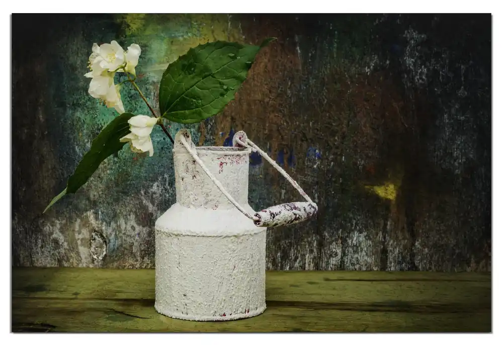 Heißes Angebot Wasserfestes Poster Jasmin Blumen in einer alten Milchkanne 61 x 91,5 cm, selbstklebende Folie mit Schutzlaminat