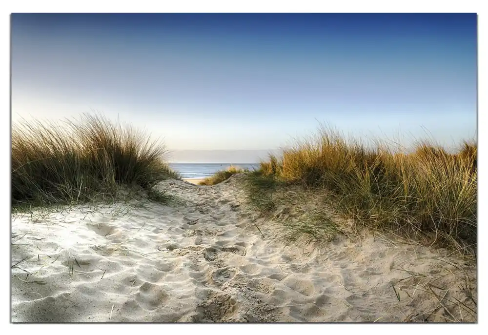 Wasserfestes Poster Weg durch die Dünen zum Strand am Meer 61 x 91,5 cm, selbstklebende Folie mit Schutzlaminat Bestpreis