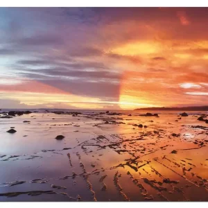 Aktuell Wasserfestes Poster Wattwanderung am Meer bei Sonnenuntergang Rund. 120 cm Durchmesser, selbstklebende Folie mit Schutzlaminat