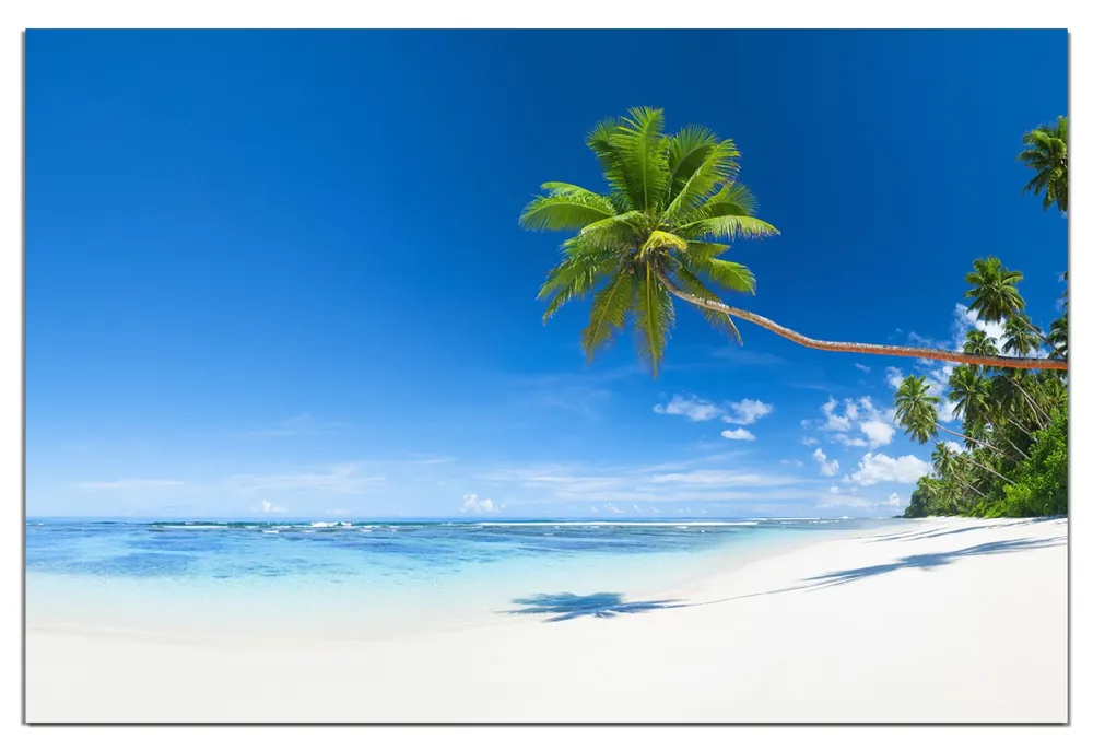 Gratis Versand Wasserfestes Poster Weißer Sandstrand am Meer - Ein Traum unter Palmen 61 x 91,5 cm, selbstklebende Folie mit Schutzlaminat