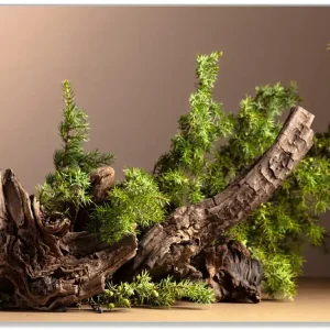 Abverkauf Glasunterlage Komposition aus Holz und Grün 30 x 40 cm
