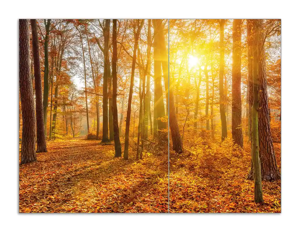 Herdabdeckplatte Sonnenuntergang im herbstlichen Wald Breite 70 cm x Höhe 52 cm. 2-teilig, 8 mm hohe Noppen Geprüft