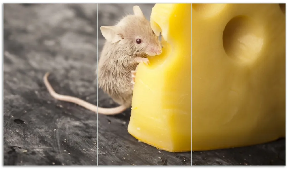 Herdabdeckplatte Süße Maus knabbert an einem Käse in der Küche Breite 70 cm x Höhe 52 cm. 2-teilig, 5 mm hohe Noppen Online Kaufen