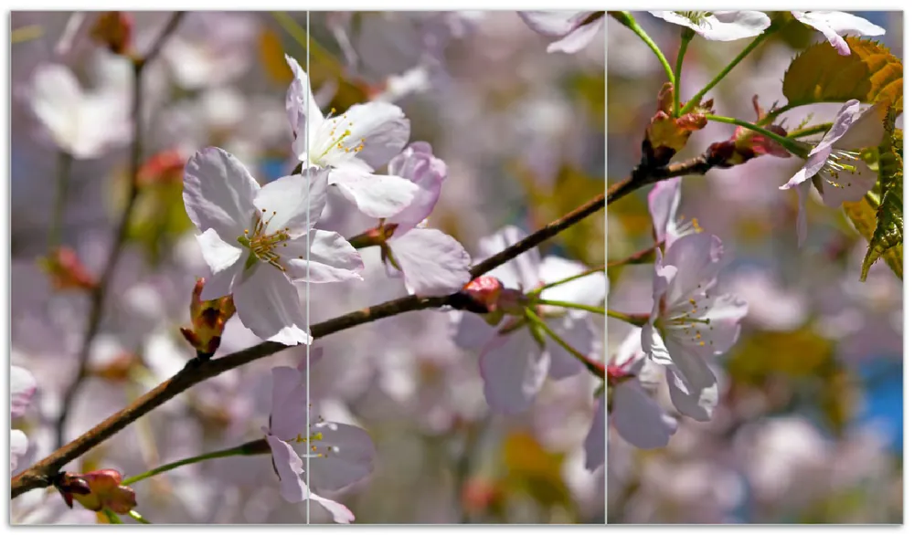 Abverkauf Herdabdeckplatte Kirschblüten in zartem Rosa - Frühling im Garten Breite 60 cm x Höhe 52 cm. 1-teilig, 13 mm hohe Noppen
