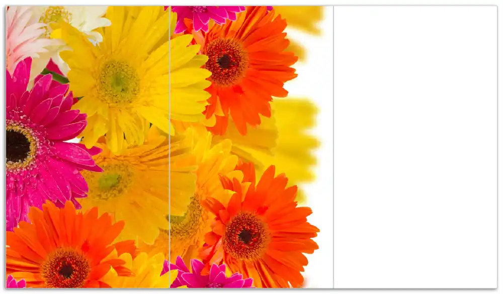 Kostenloser Rückversand Herdabdeckplatte Bunte Gerberas - pinke, gelbe, rote und weiße Blüten Breite 60 cm x Höhe 52 cm. 2-teilig, 5 mm hohe Noppen