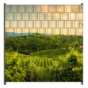 Kostenloser Rückversand Zaunsichtschutz Abendlicht über Weinbergen Breite 250 cm x Höhe 140 cm