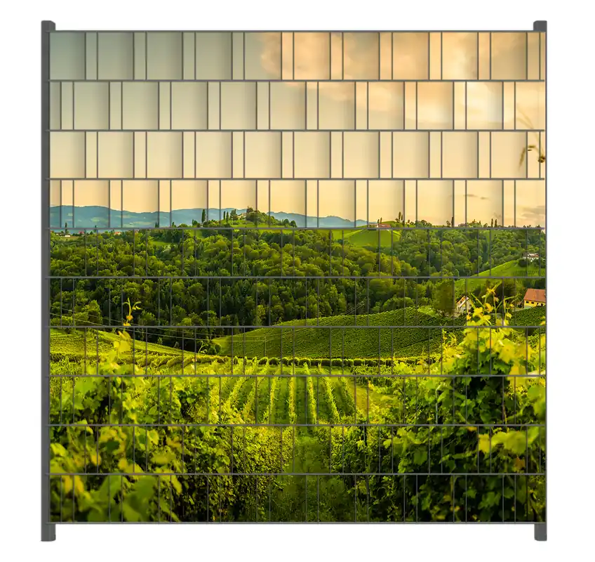 Kostenloser Rückversand Zaunsichtschutz Abendlicht über Weinbergen Breite 250 cm x Höhe 140 cm
